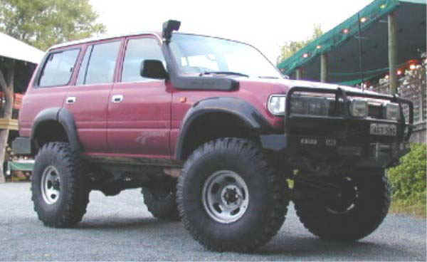 Monster_truck.jpg (23697 Byte)